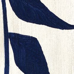 Color – Astra