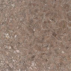 Color – Rose Quartz Embellished