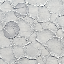 Color – Steccato
