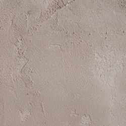 Color – Blush