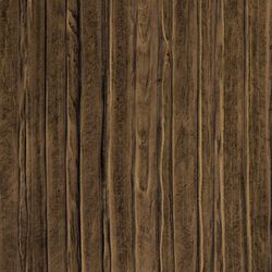 Color – Silver Birch