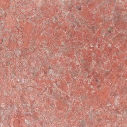 Color – Anthozoa Embellished