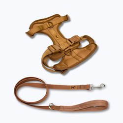 Elige tu color favorito – Kit Adventure Desert