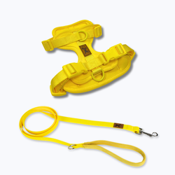 Elige tu color favorito – Kit Adventure Beach