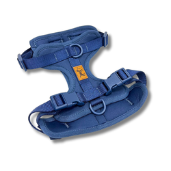 Elige tu color favorito – Arnés Adventure Ocean