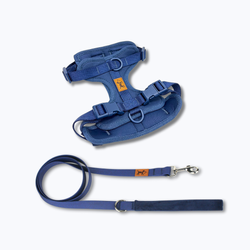 Elige tu color favorito – Kit Adventure Ocean