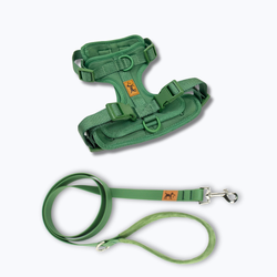 Elige tu color favorito – Kit Adventure Jungle