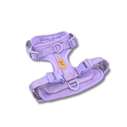 Elige tu color favorito – Arnés Adventure Lavender