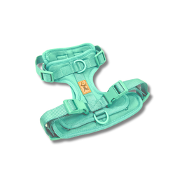 Elige tu color favorito – Arnés Adventure Mint