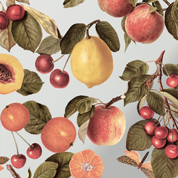 Similar Styles – Orchard Gaze