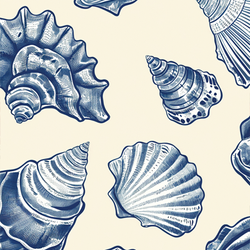 Similar Styles – Nautical Shells