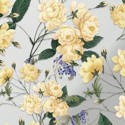 Similar Styles – Golden Petalcode