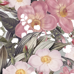 Similar Styles – Mauve Muse
