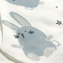 Design – Bunny Buddies