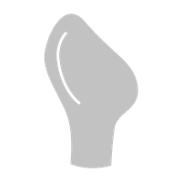 Nipple Type – Anatomical
