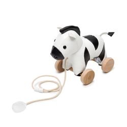 Design – Robert the Zebra