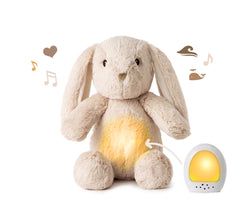 Colour – Billy Bunny
