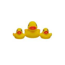 Type – Ducks