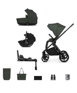 Colour – Forest Green