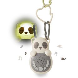 Colour – Panda
