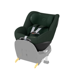 Colour – Authentic Green