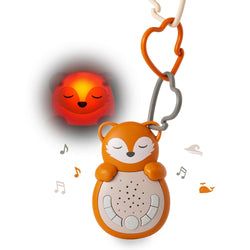 Colour – Fox