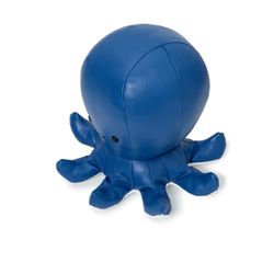 Octave the Octopus