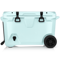 55qt