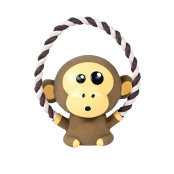 Kong Julian