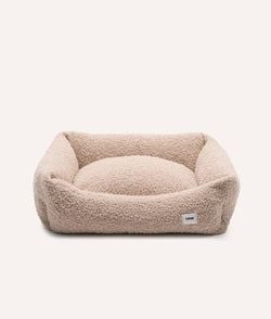 Beige sheepdog