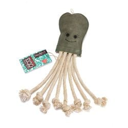 Olive the Octopus