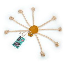 Lily Longlegs