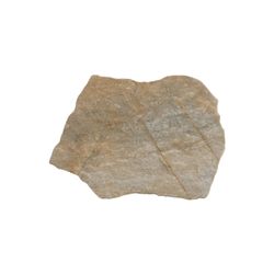 Colour – Marron Beige