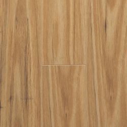Colour – Blackbutt