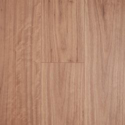 Colour – Blackbutt