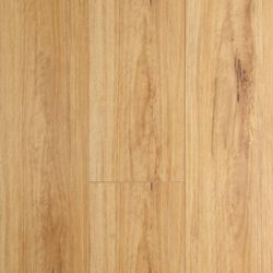 Colour – Blackbutt