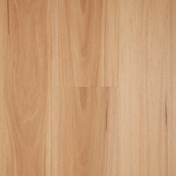 Blackbutt