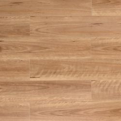 Colour – Blackbutt