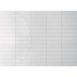 Colour – White