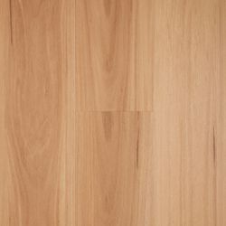 Colour – Northern Blackbutt