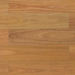 Spotted Gum