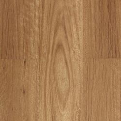 Colour – New England Blackbutt