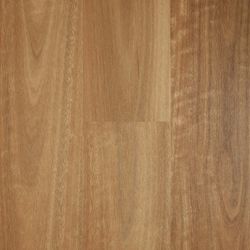 Colour – Spotted Gum