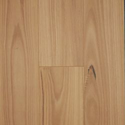 Colour – Blackbutt