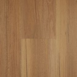 Spotted Gum