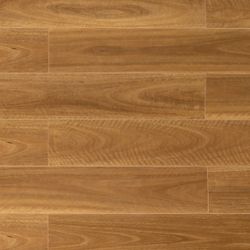 Colour – Spotted Gum