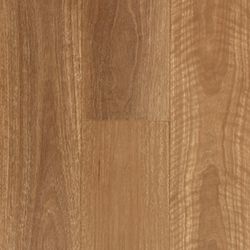 Colour – QLD Spotted Gum