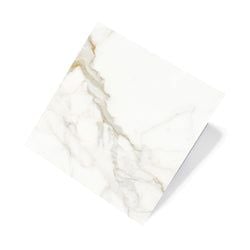 Colour – White