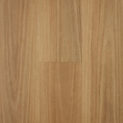 Colour – Blackbutt
