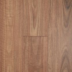 Colour – Spotted Gum